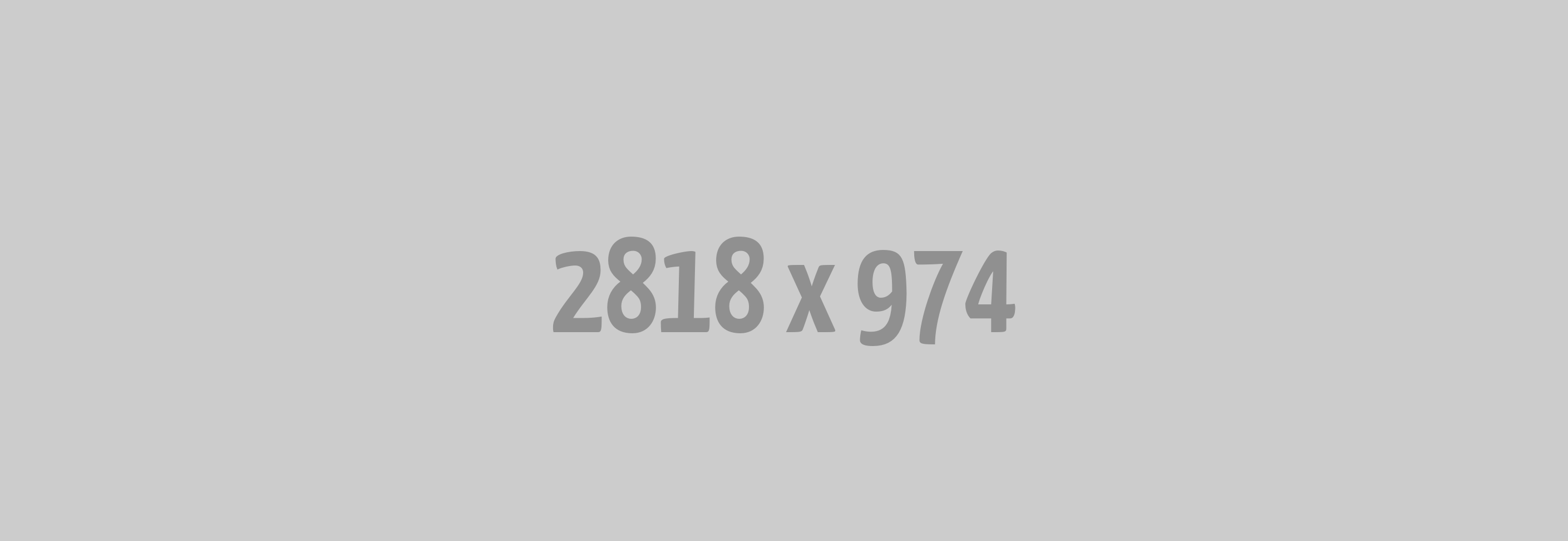 Technical Customer Support Engineer